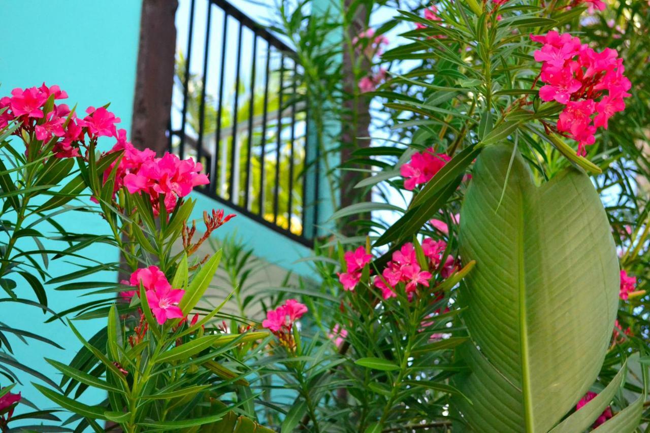 Altona Emerald Beach Resort מראה חיצוני תמונה